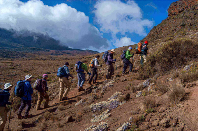 Killing it on Kilimanjaro – Traveller’s Experience Climbing Mt Kilimanjaro
