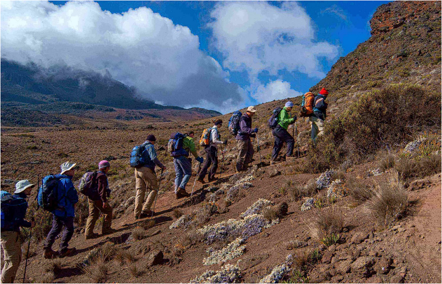 Mt Kilimanjaro