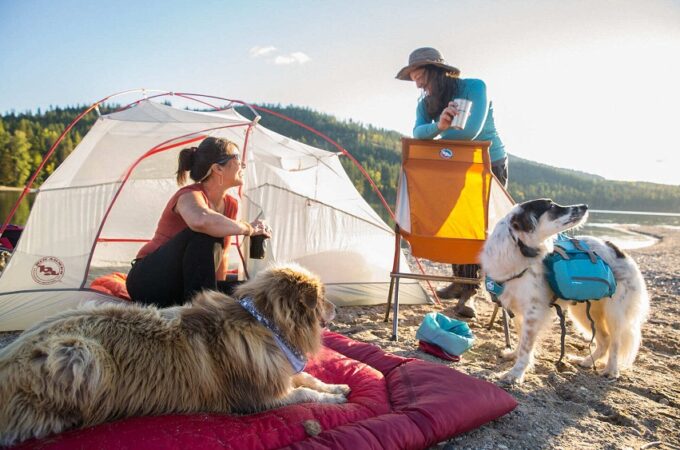 Furry Companions on the Go: Tips & Tricks for a Pet-Friendly Outdoor Expedition